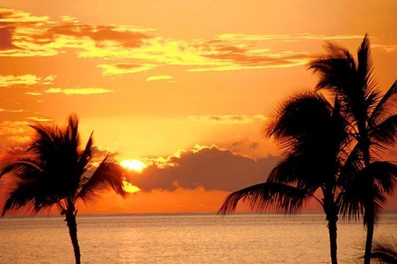 Apartamento com Vista para Mar e Bicicletas Maceio  Bagian luar foto